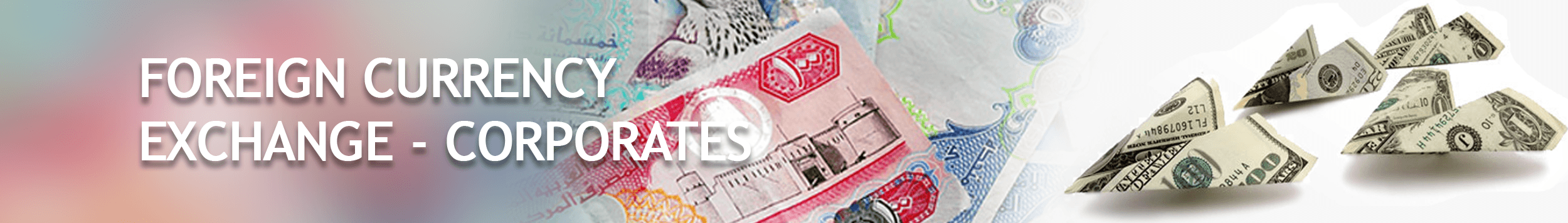 Redha Al Ansari Exchange Foreign Currency Exchange Best Exchange redha-al-ansari-exchange-foreign-currency-exchange-best-exchange